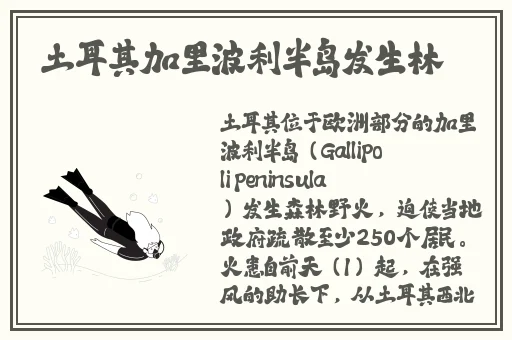 密庥桃文化传媒有限公司